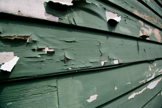 Best Garage Cleanout  in Gibsonton, FL